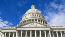Government